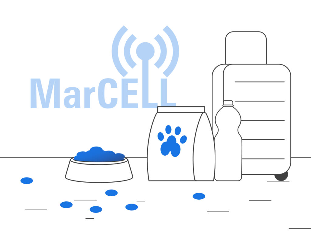 Checklist image for RV travelers with pets, showing essential items and preparations before hitting the road.