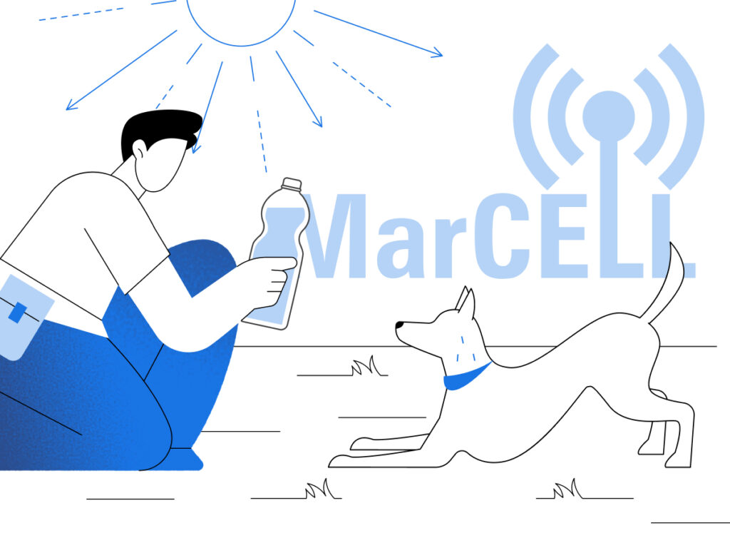 Image showing a pet staying hydrated in hot weather, featuring water bowls, shaded areas, and signs of heat stress prevention.