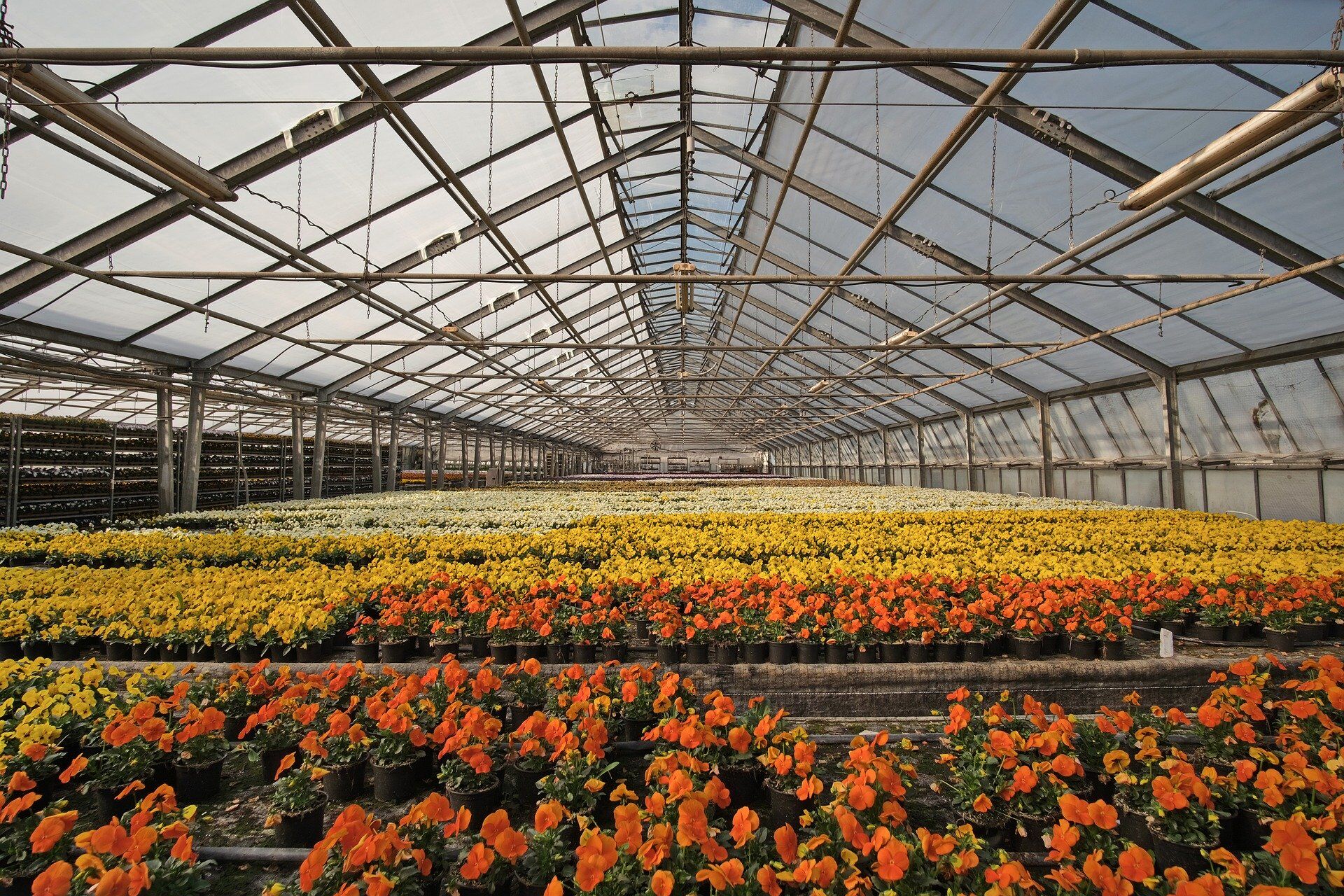 monitor-and-control-greenhouse-environments-protect-plant-inventory