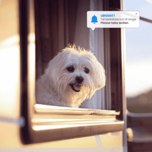 Small dog in an RV receiving a MarCELL temperature alert notification for pet safety.