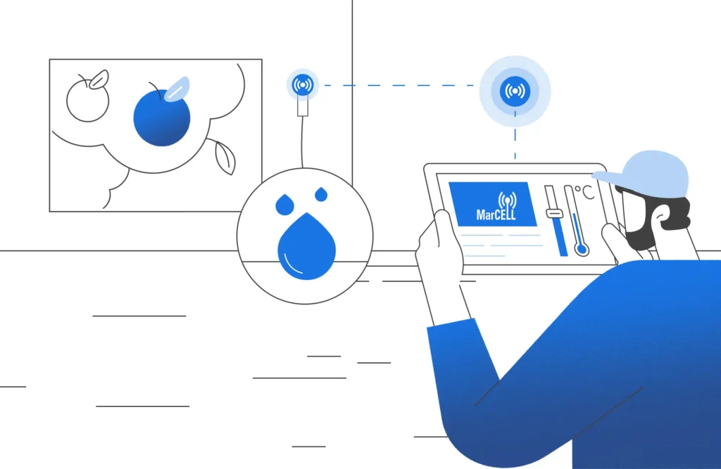 Illustration of a user remotely monitoring humidity levels in a fruit storage area using a MarCELL cellular sensor