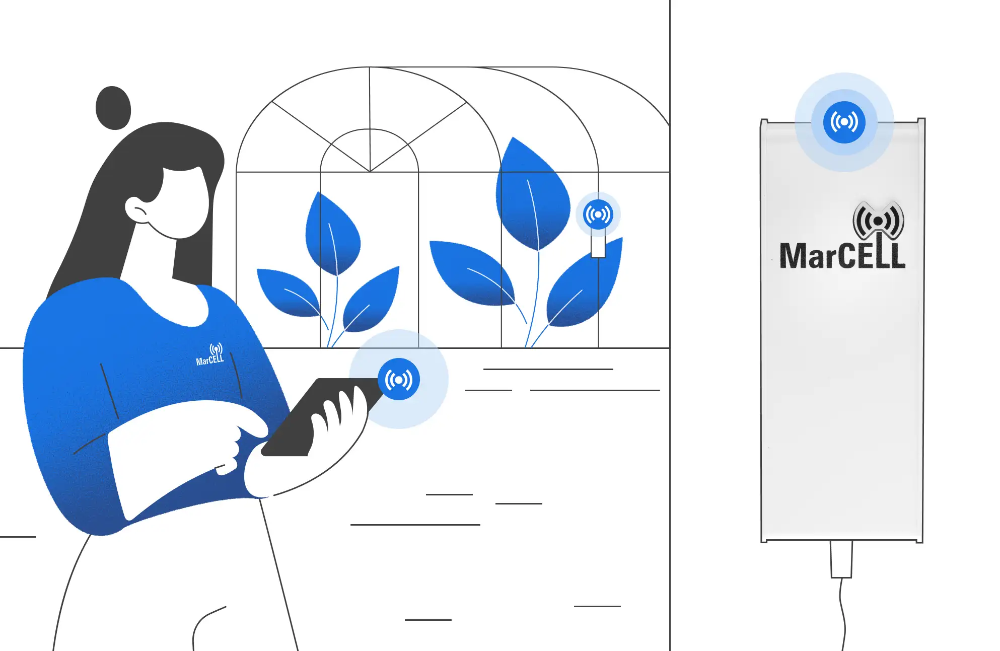 Woman using MarCELL app to monitor greenhouse temperature and humidity remotely with the MarCELL multisensor device.