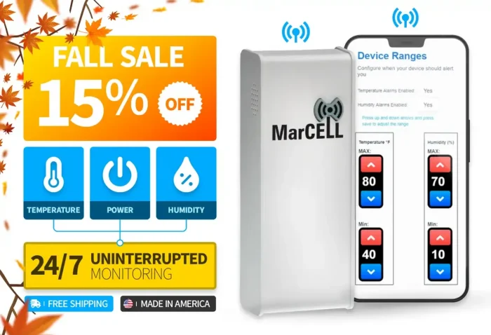 marcell-fall-sale