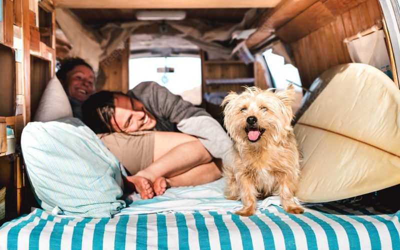 Happy dog inside a camper van with a couple relaxing in the background, representing RV and pet monitoring.